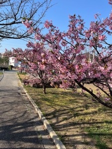IMG_9076322
